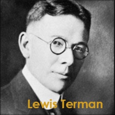 I Will Find Seeds: IQ Test