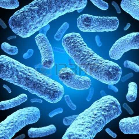 Fósiles de bacterias de 3500 millones de años