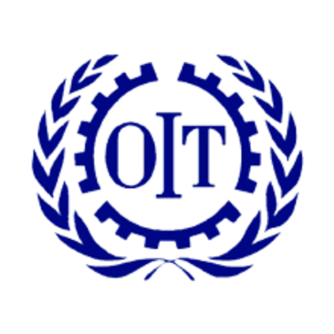 fundación OIT