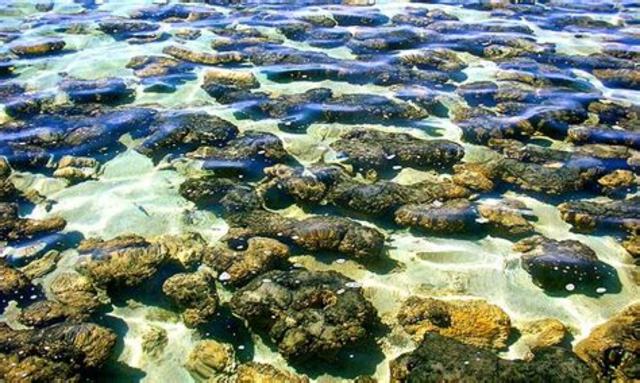 4.600 millones de años