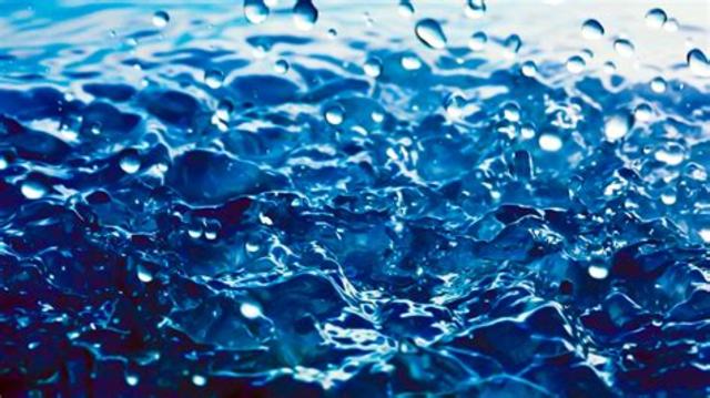 550 millones de años