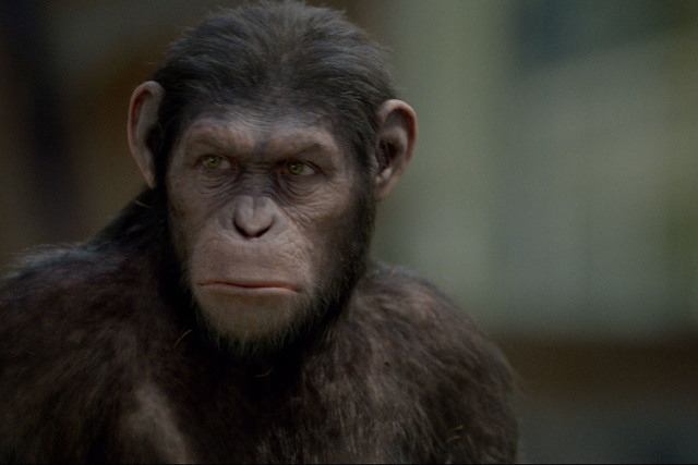 40 millones de años