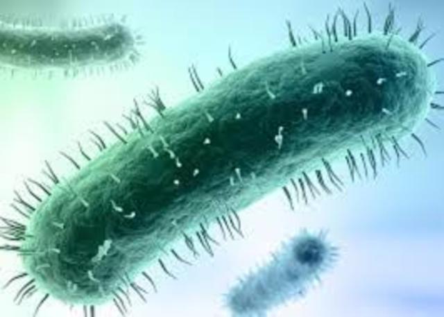 Primeros organísmos vivos