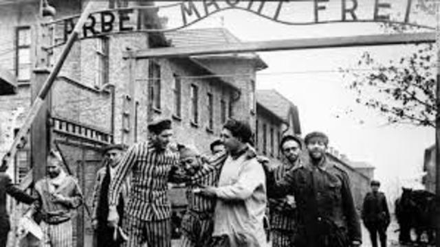 Auschwitz liberated