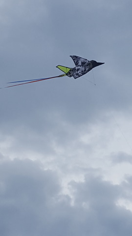 Beach Vacation Flying Kites