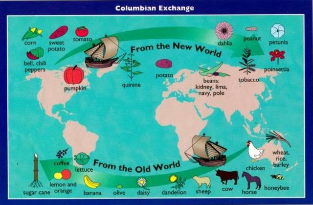 LA REVOLUCIÓN ALIMENTARIA