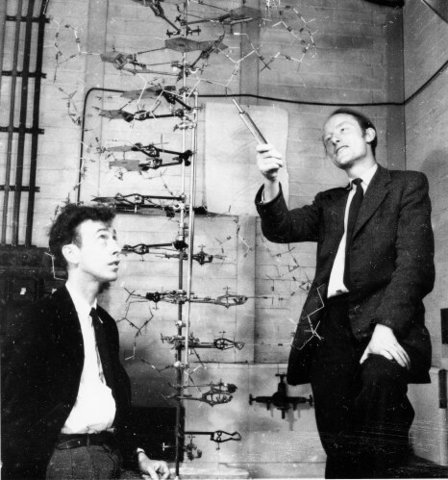 Watson and Crick publish their discovery of the structure of DNA