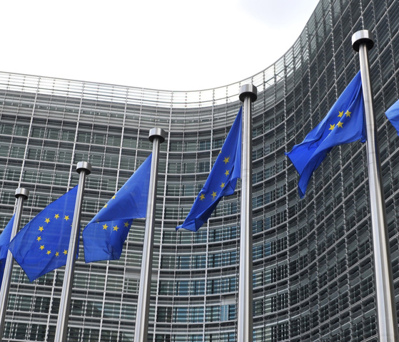 Los derechos humanos y los logros científicos (Resolución 509 del Consejo de Europa)