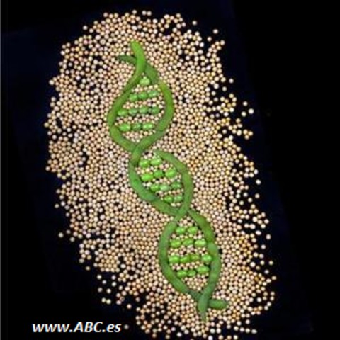 Primera modificación genética de una célula vegetal