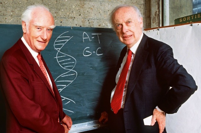 Watson y Crick.