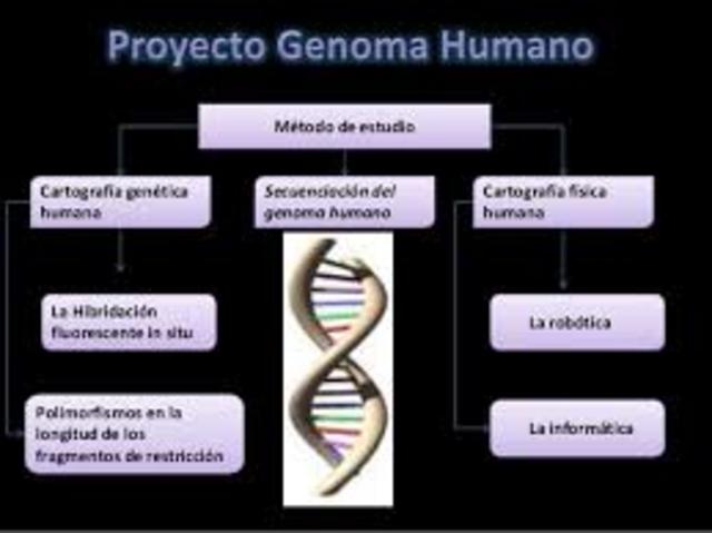 Se funda el Proyecto Genoma Humano.