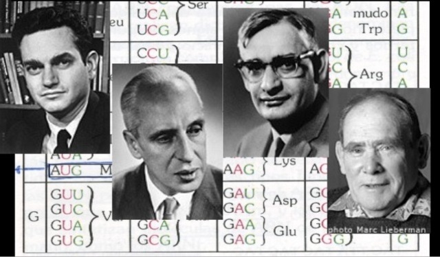 Marshall W. Nirenberg, Severo Ochoa, Har Gobind Khorana y Sydney Brenner