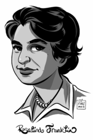 Rosalind Franklin.