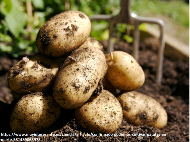 Inicio del tratamiento industrial del agua.