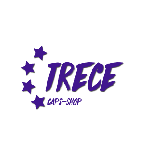 Proyecto de Seminario de mercadotecnia, "CuatroTrece CapsShop"