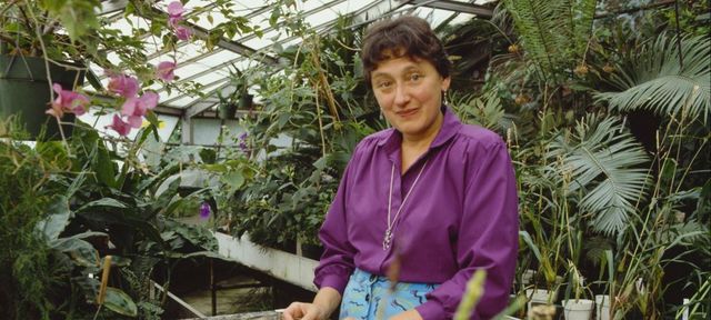 Simbiosis entre microorganismos como importante fuerza evolutiva