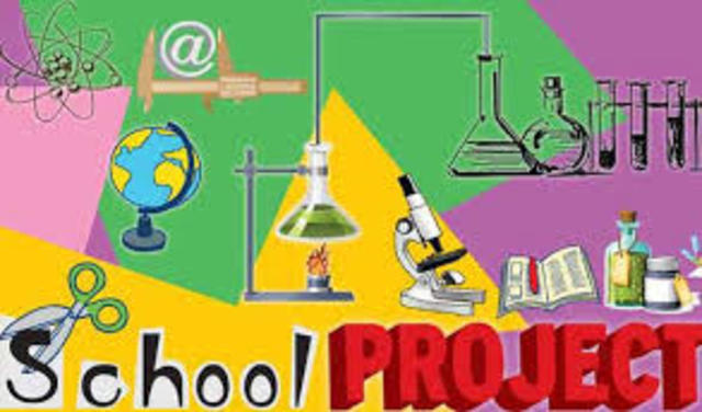 School project