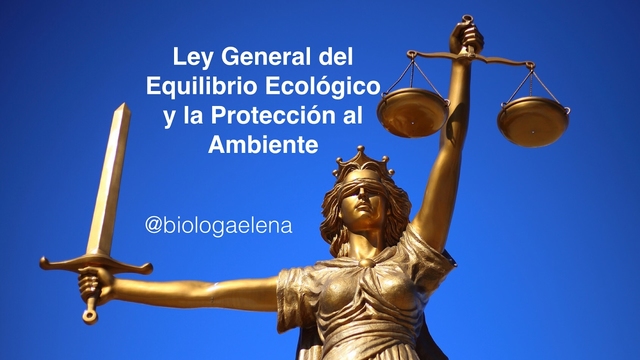 Se genera la ley general del equilibrio ecológico y protección ambiental (LGEEPA)