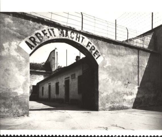 Hana's 11th Birthday