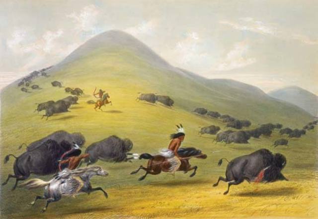 Great Plain Indians hunting Bison