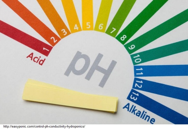 Las torres de refrigeración comenzaron a ver los esfuerzos de tratamiento de agua.