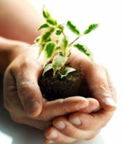 El papel del Hombre en el cambio de la Tierra