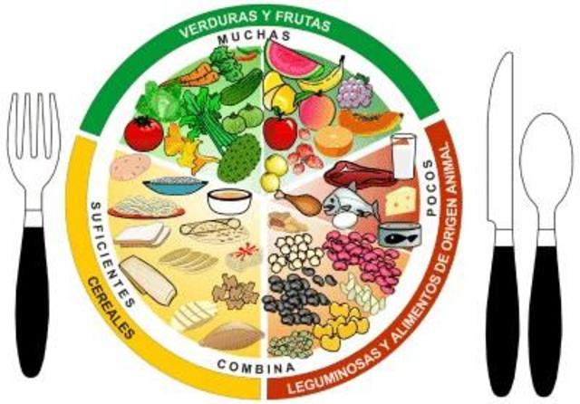 Diseño de plan nacional de alimentación y nutrición (PAN)
