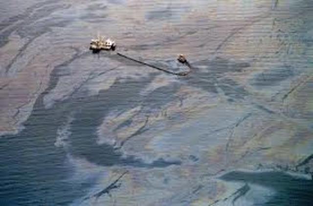 Exxon Valdez Oil Spill