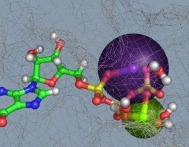 CSIC descubre el comportamiento de la proteína FTSZ