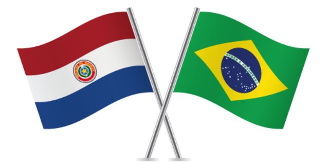 Brote de fiebre amarilla