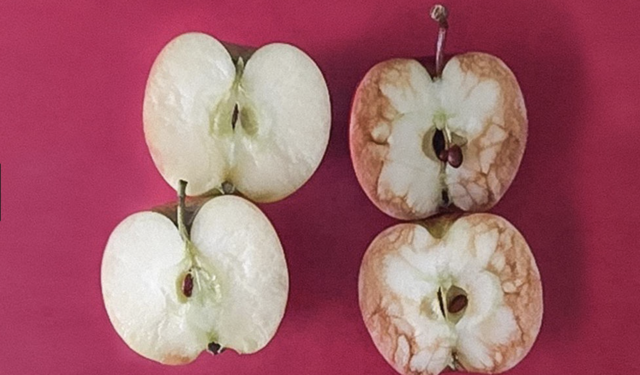 The ugliness in someone