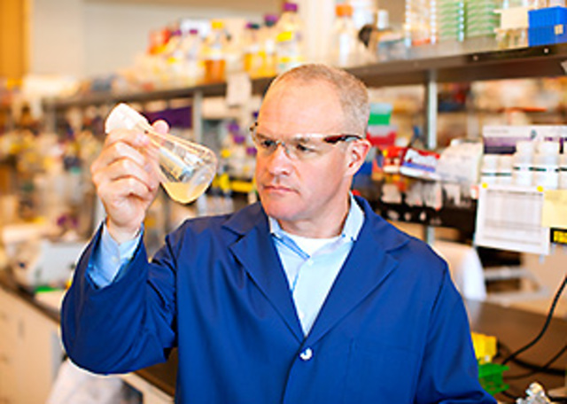 Desarrollo en masa y economico de la artemisina