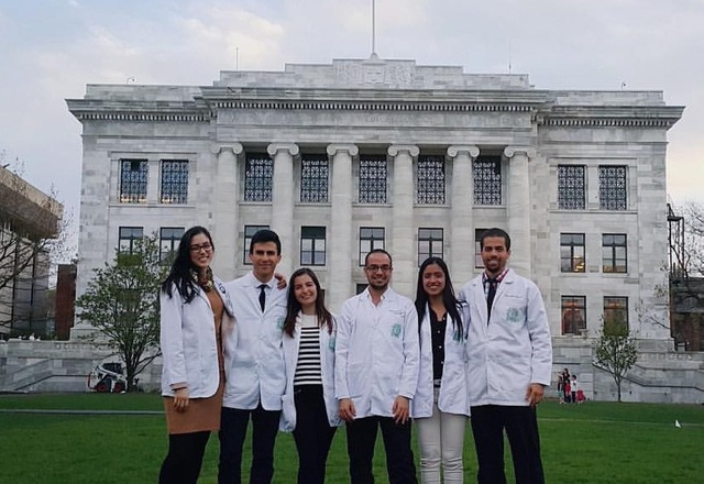 Anticuerpos irregulares