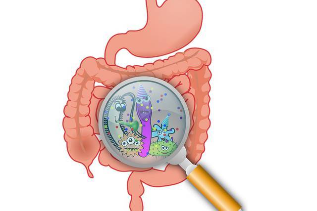 Nuevos descubrimientos en la incidencia de gastroenteritis vírica