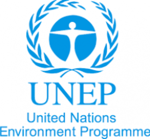 UNEP y WCED