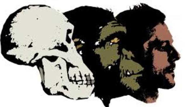 aceptación del evolucionismo