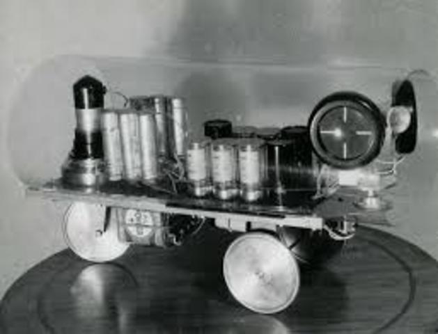 La tortue cybernétique