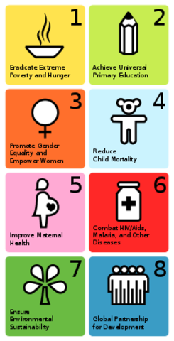 Millennium development goals