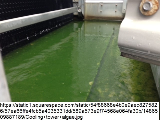 Nuevos avances científicos