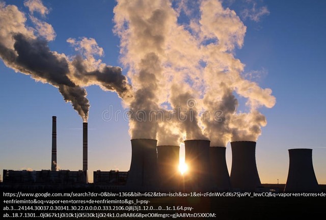 Interés en la pureza del vapor.