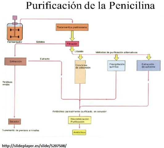 Purificación de Penicilina