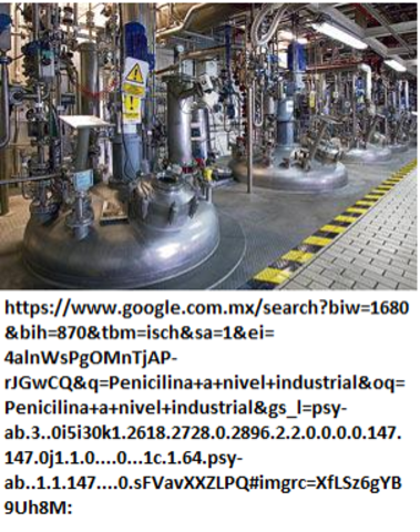 Producción en masa de Penicilina
