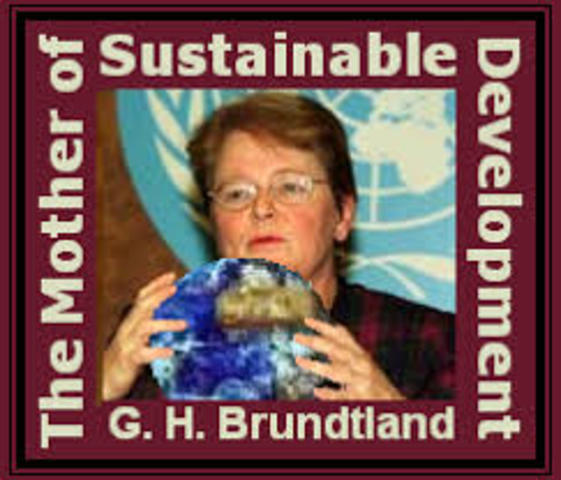 Informe de Brundtland
