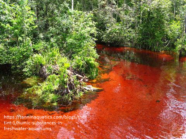 Empiezan a registrar patentes