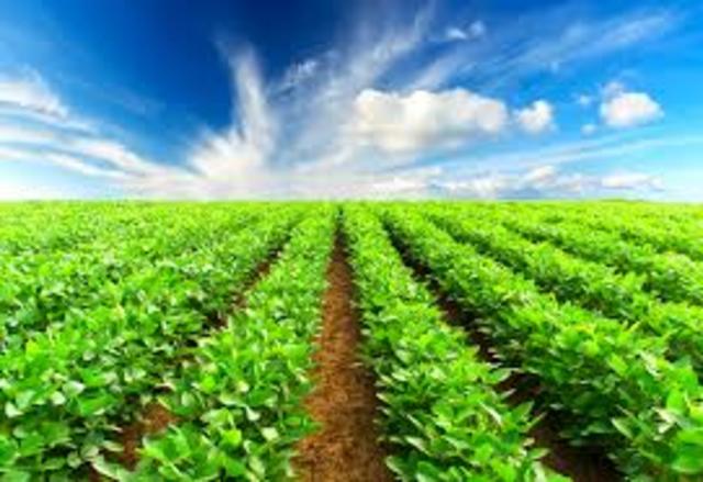 Agriculture with Native Americans