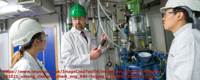 El grupo de Ingenieros Químicos en la Sociedad de la Industria Química es formado