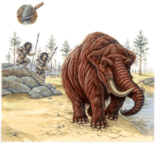 Sociedades primitivas