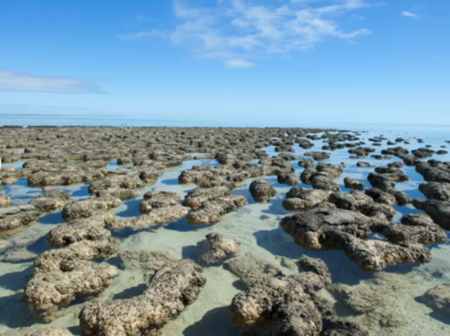 Generation of an Oxygen-rich Atmosphere & Appearance of Life