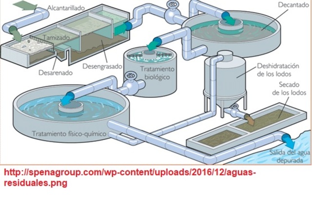 Polímeros Orgánicos.