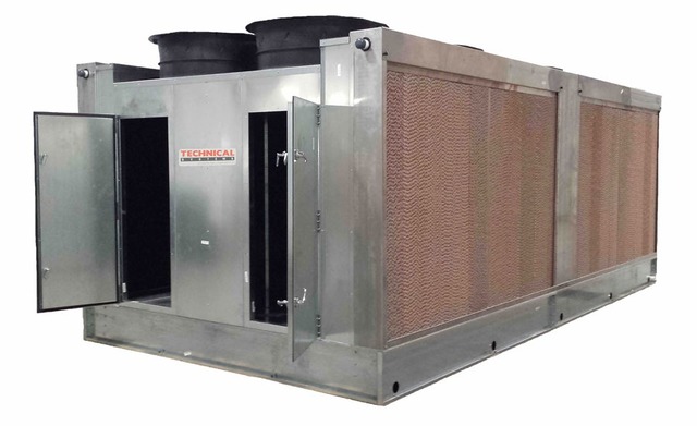 Primeros estudios científicos